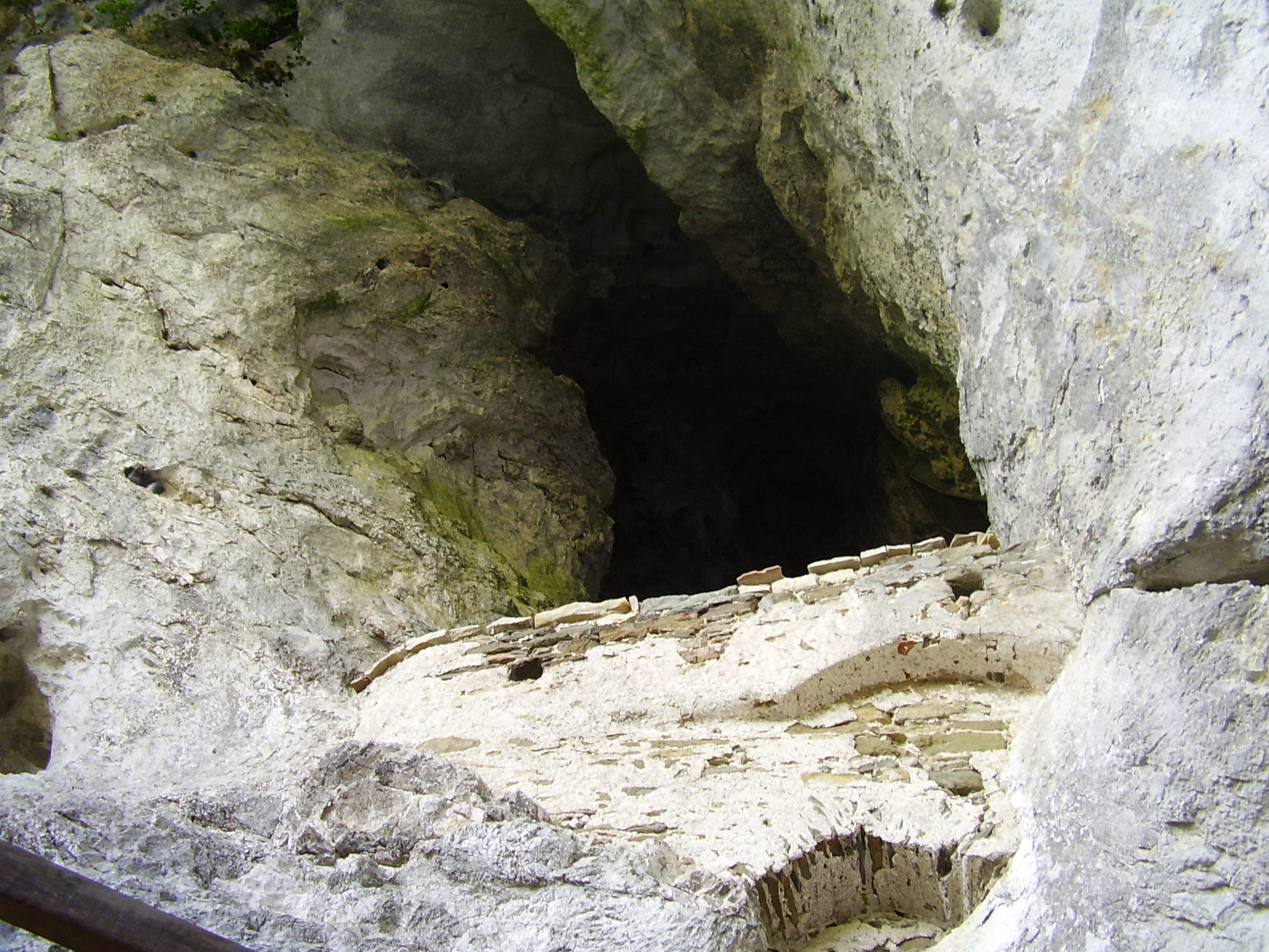 P1010228.JPG