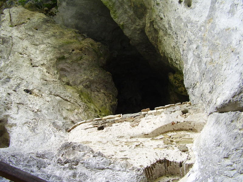 P1010228.JPG