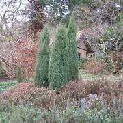 028 Bielefeld - Botanischer Garten _Botanick_ zahrada_.JPG