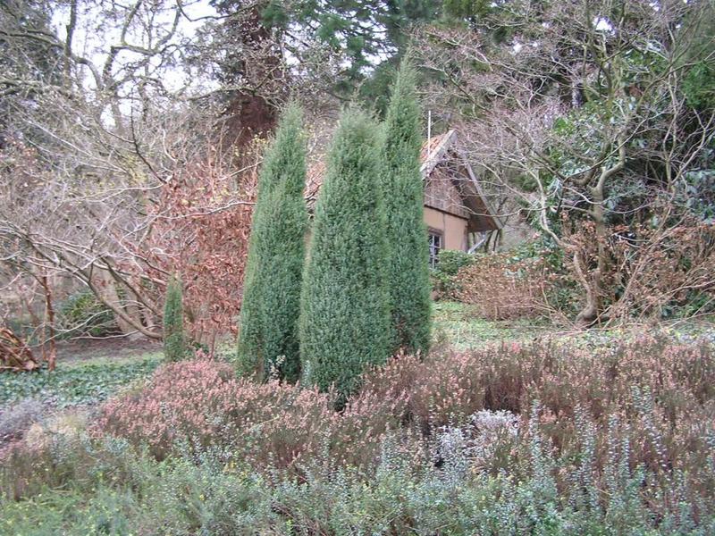 028 Bielefeld - Botanischer Garten _Botanick_ zahrada_.JPG