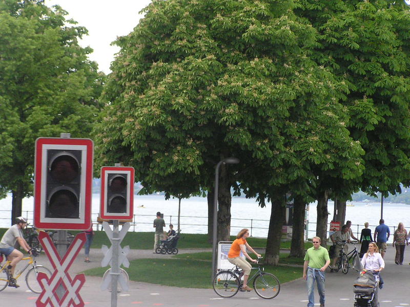 0070 Bregenz (Březnice) - Bodensee (Bodamské jezero).JPG