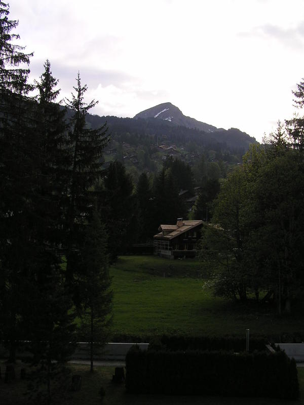 0019 Les Diablerets - Vaudské Alpy, výhled z hotelu.JPG