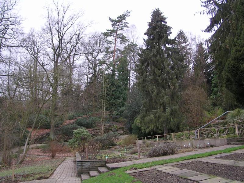 030 Bielefeld - Botanischer Garten _Botanick_ zahrada_.JPG