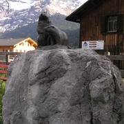 0008  Les Diablerets - svišti.JPG