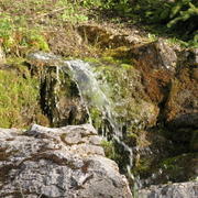 0055  Les Diablerets -  alpská zahrada Les Tussillages, skalka.JPG