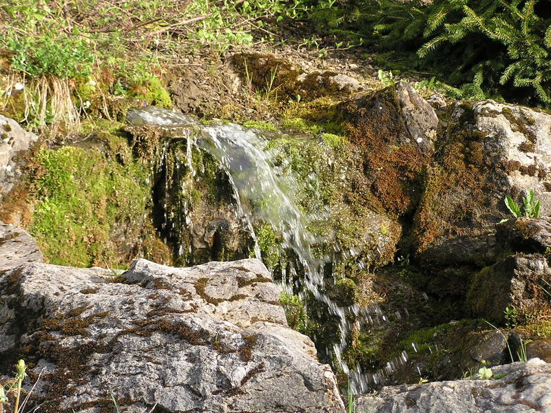 0055  Les Diablerets -  alpská zahrada Les Tussillages, skalka.JPG