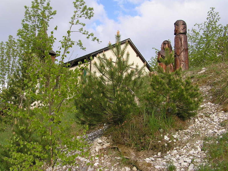 0051  Les Diablerets - protestanský kostel, alpská zahrada Les Tussillages.JPG