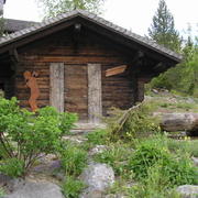 0043  Les Diablerets -  alpská zahrada Les Tussillages.JPG