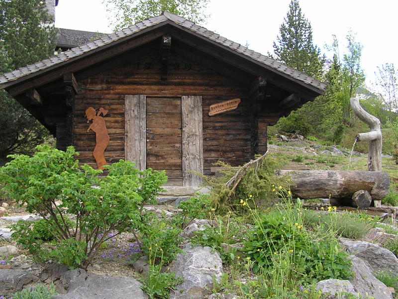 0043  Les Diablerets -  alpská zahrada Les Tussillages.JPG