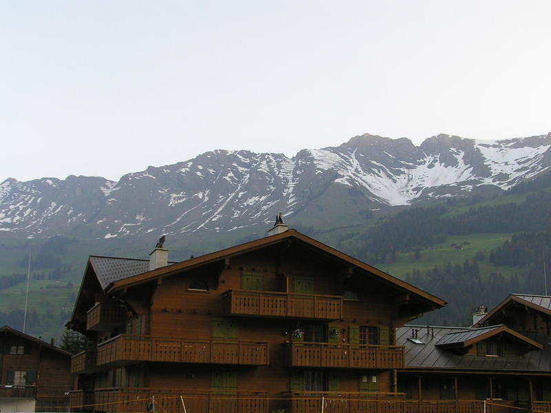 0245  Les Diablerets - Vaudské Alpy.JPG