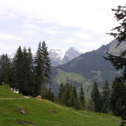 0435 Grütschalp - Bernské Alpy.JPG