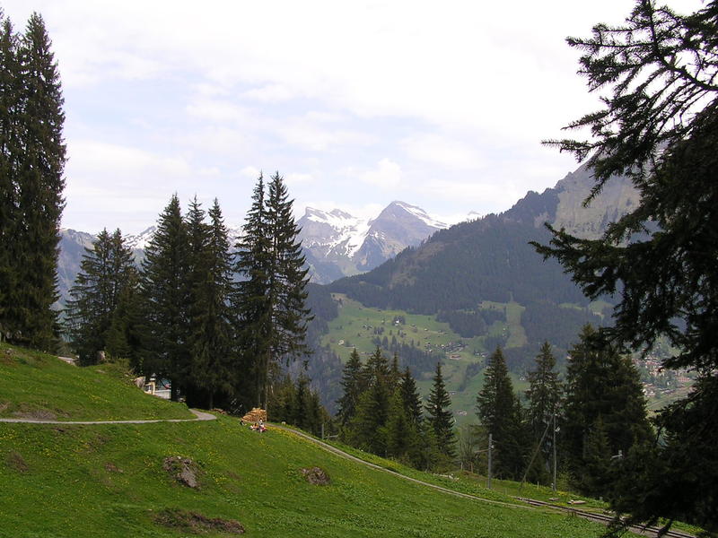 0435 Grütschalp - Bernské Alpy.JPG