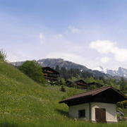 0405 Grindelwald - Bernské Alpy.JPG