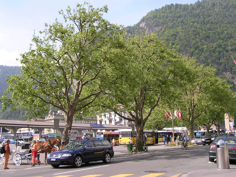 0021 Interlaken - nádraží.JPG