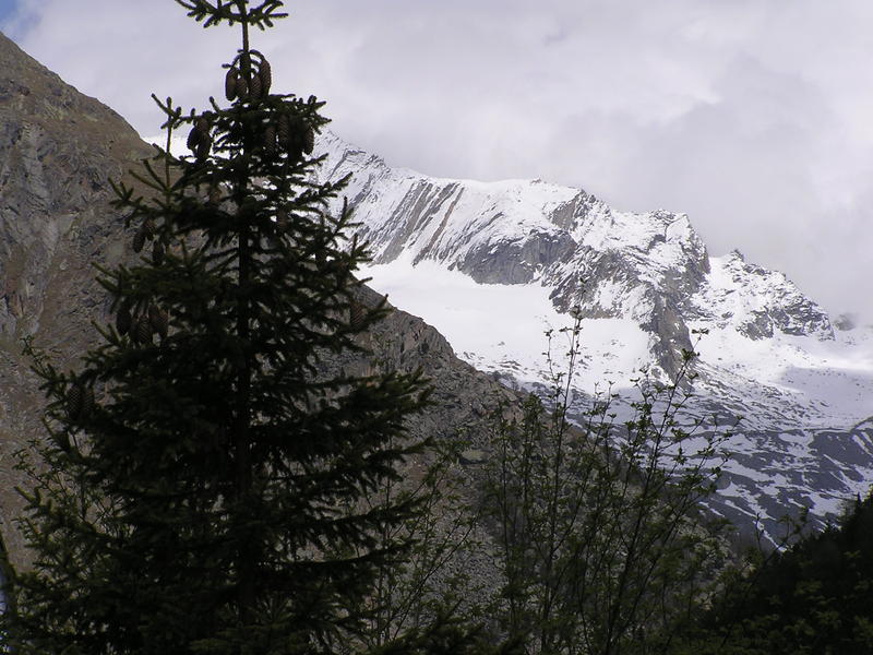 0360 Saas Fee - Walliské Alpy.JPG