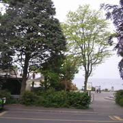 0034 Vevey, Ženevské jezero.JPG