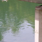 0036 Curich - řeka Limmat.JPG