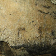 P1010019.JPG
