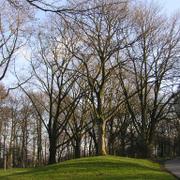 051 Bielefeld - Johannisberg _J_nsk_ hora__ park.JPG