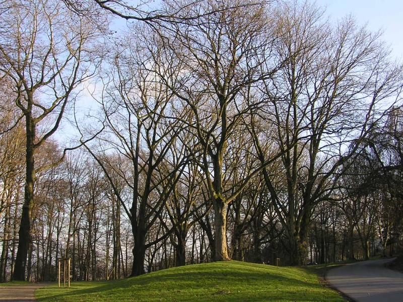 051 Bielefeld - Johannisberg _J_nsk_ hora__ park.JPG