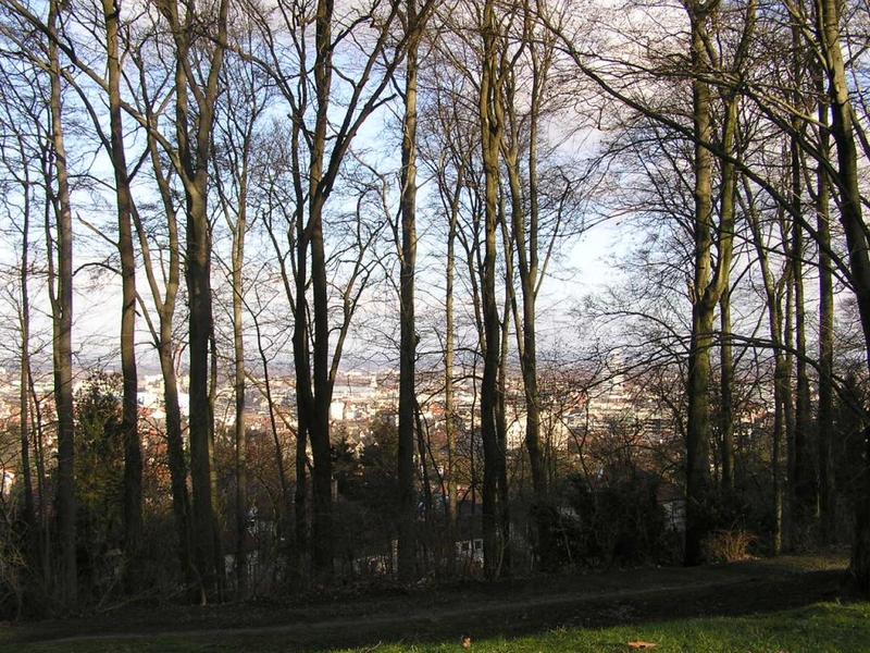 052 Bielefeld - Johannisberg _J_nsk_ hora__ park.JPG