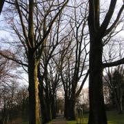 053 Bielefeld - Johannisberg _J_nsk_ hora__ park.JPG