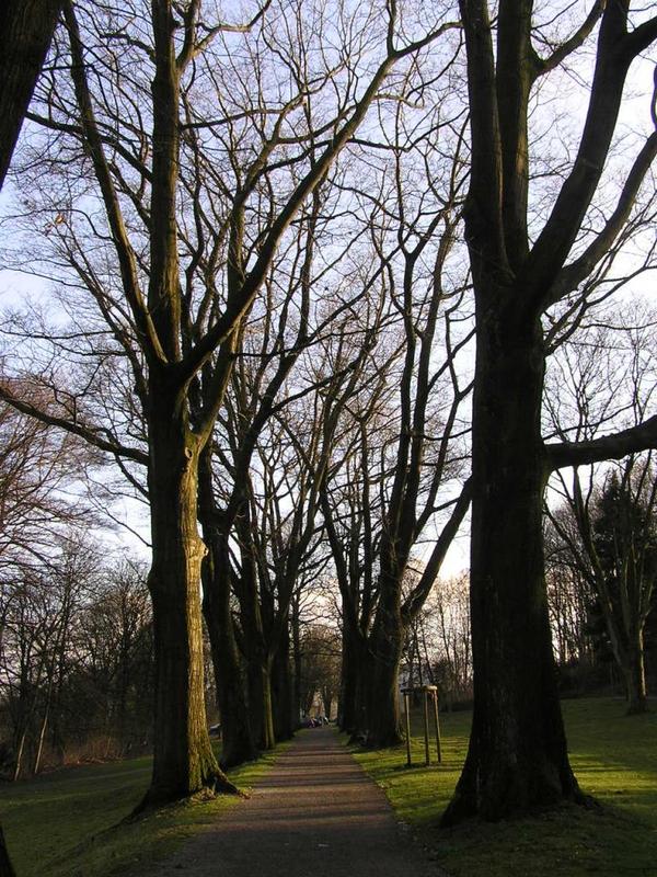 053 Bielefeld - Johannisberg _J_nsk_ hora__ park.JPG