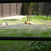 P1010154.JPG