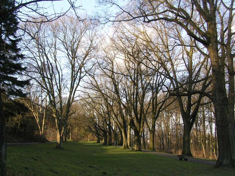 056 Bielefeld - Johannisberg _J_nsk_ hora__ park.JPG