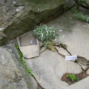 P1010337.JPG
