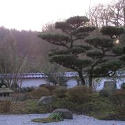 069 Bielefeld - Japanischer Garten _Japonsk_ zahrada_.JPG