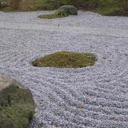 071 Bielefeld - Japanischer Garten _Japonsk_ zahrada_.JPG