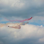 IMG_7995.JPG