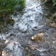 IMG_0823.JPG