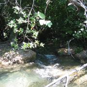 IMG_0820.JPG