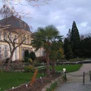 089 Bonn - Botanischer Garten _Botanick_ zahrada__ Schloss Poppelsdorf _z_mek Poppelsdorf_.JPG