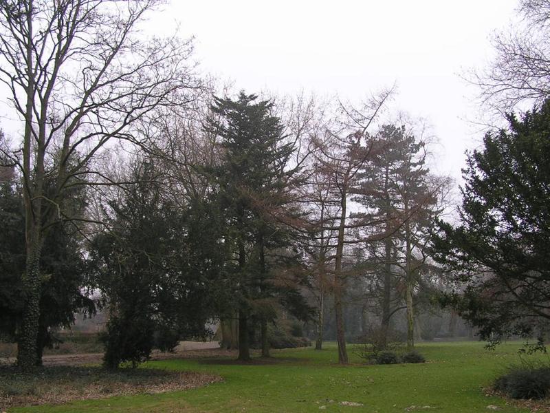 071 Ahlen - Stadtpark _M_stsk_ park_.JPG