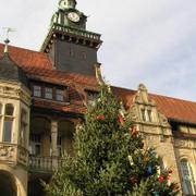 0015 B_ckeburg - Rathaus _radnice_.JPG