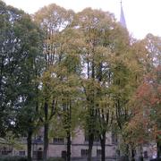 006 Detmold - Kaiser-Wilhelm Platz _n_m_st_ c_sa_e Vil_ma__ Christuskirche _kostel Krista_.JPG