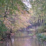 040 Detmold - Friedrichstaler Kanal.JPG