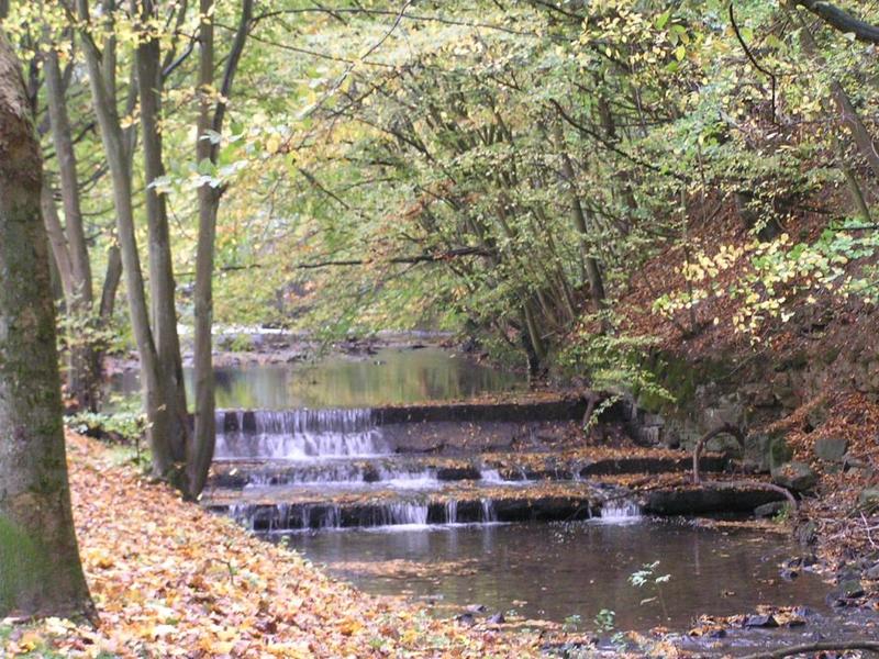 044 Detmold - Friedrichstaler Kanal.JPG