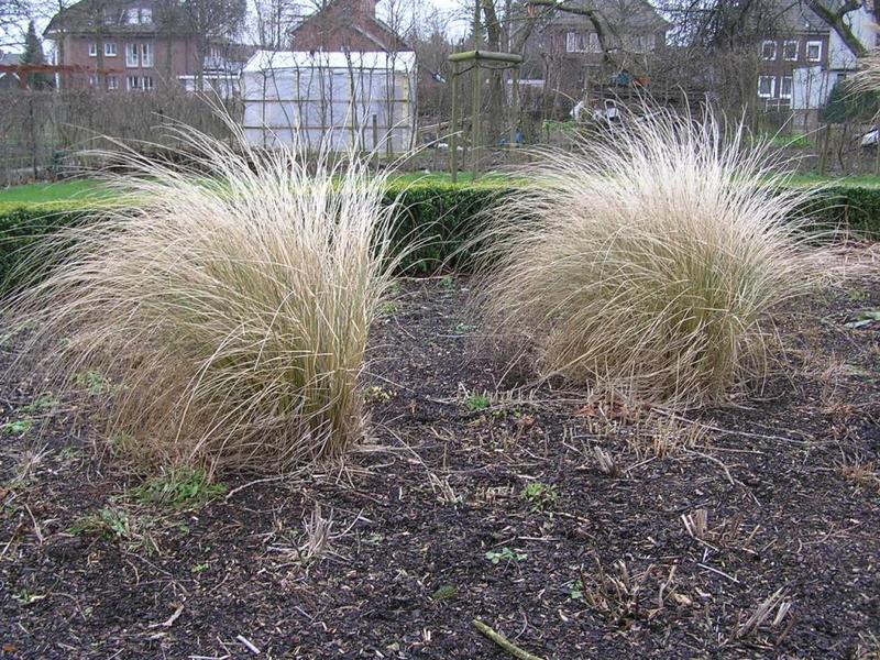 030 Oelde - Vier-Jahreszeiten-Park _Park _tvero ro_n_ch obdob__.JPG