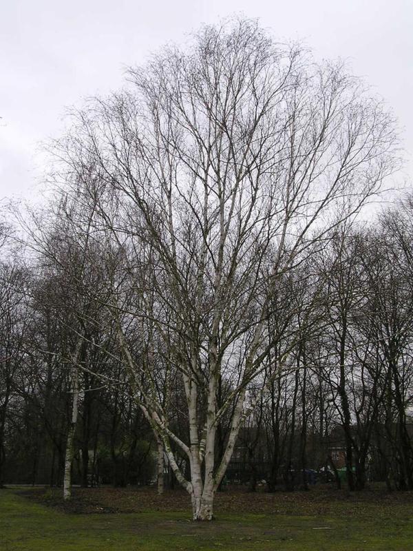 048 Oelde - Vier-Jahreszeiten-Park _Park _tvero ro_n_ch obdob__.JPG