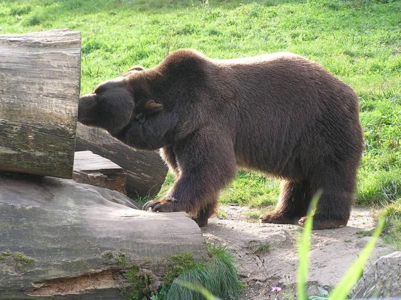 0048 Bielefeld - ZOO.JPG