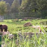 0049 Bielefeld - ZOO.JPG