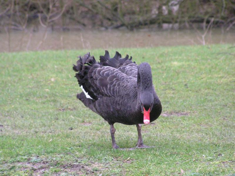 061 Oelde - Vier-Jahreszeiten-Park _Park _tvero ro_n_ch obdob___ _ern_ labu_.JPG