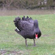 061 Oelde - Vier-Jahreszeiten-Park _Park _tvero ro_n_ch obdob___ _ern_ labu_.JPG