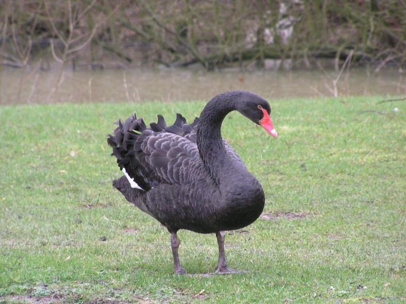 062 Oelde - Vier-Jahreszeiten-Park _Park _tvero ro_n_ch obdob___ _ern_ labu_.JPG