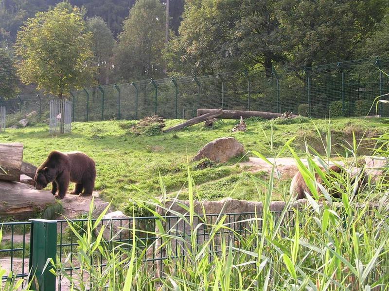 0049 Bielefeld - ZOO.JPG