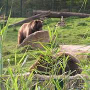 0051 Bielefeld - ZOO.JPG